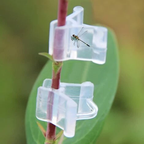 Clips De Greffage Pour Plantes, Supports De Plantes Transparents Pour Tomates, Légumes, Fleurs (transparent),Starlight,Lot De 100 3 Clips De Greffage Pour Plantes, Supports De Plantes Transparents Pour Tomates, Légumes, Fleurs (transparent),Starlight,Lot De 100