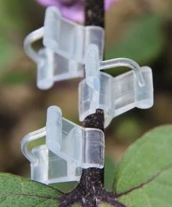Clips De Greffage Pour Plantes, Supports De Plantes Transparents Pour Tomates, Légumes, Fleurs (transparent),Starlight,Lot De 100 9 Clips De Greffage Pour Plantes, Supports De Plantes Transparents Pour Tomates, Légumes, Fleurs (transparent),Starlight,Lot De 100 -Accessoire de culture Soldes Boutique 50941917 3