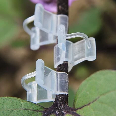 Clips De Greffage Pour Plantes, Supports De Plantes Transparents Pour Tomates, Légumes, Fleurs (transparent),Starlight,Lot De 100 5 Clips De Greffage Pour Plantes, Supports De Plantes Transparents Pour Tomates, Légumes, Fleurs (transparent),Starlight,Lot De 100 – Image 3