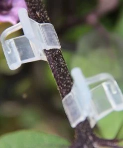 Clips De Greffage Pour Plantes, Supports De Plantes Transparents Pour Tomates, Légumes, Fleurs (transparent),Starlight,Lot De 100 10 Clips De Greffage Pour Plantes, Supports De Plantes Transparents Pour Tomates, Légumes, Fleurs (transparent),Starlight,Lot De 100 -Accessoire de culture Soldes Boutique 50941917 4