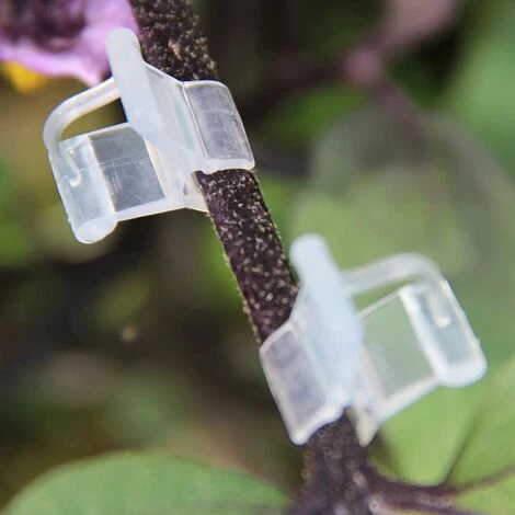 Clips De Greffage Pour Plantes, Supports De Plantes Transparents Pour Tomates, Légumes, Fleurs (transparent),Starlight,Lot De 100 6 Clips De Greffage Pour Plantes, Supports De Plantes Transparents Pour Tomates, Légumes, Fleurs (transparent),Starlight,Lot De 100 – Image 4