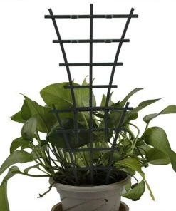 Support Pour Plantes Grimpantes, Mini Treillis De Jardin, Superposé - Support Pour Plantes Grimpantes En Pot,Starlight,6Pcs -Accessoire de culture Soldes Boutique 50942132 3