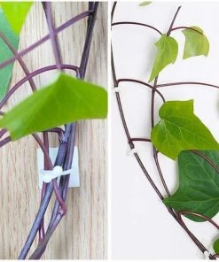 ALMI Clips De Montage De Mur D'escalade De Plantes, Crochet Collant De Mur De Montage De Vignes Murales Invisibles, Clips De Support Auto-adhésif De Support De Plante Grimpante