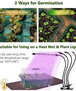 Mini Serre Pour Plantes, 5 Pièces 12 Cellules Intérieure Plateau Semis Bac à Semis Pépinière Boîte De Culture Avec Couvercle Et Ventilation Durables, Fontainebleau -Accessoire de culture Soldes Boutique 51213273 4