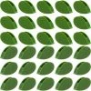 SUPERMARKET 30 Pièces Clips De Montage Mural D'escalade De Plantes Clip De Fixation De Mur Végétal Auto-Adhésif, Support De Vignes En Forme De Feuille Invisible，Superma -Accessoire de culture Soldes Boutique 51279006 1