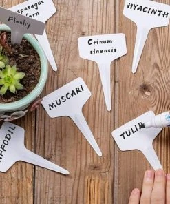 ABCRITAL Lot De 100 Étiquettes En Plastique Pour Plantes, Étiquettes De Type T, Imperméables, Réutilisables, Pour Pépinière, Pour Jartin De Fleurs, Légumes, Herbes, Blanc 11 ABCRITAL Lot De 100 Étiquettes En Plastique Pour Plantes, Étiquettes De Type T, Imperméables, Réutilisables, Pour Pépinière, Pour Jartin De Fleurs, Légumes, Herbes, Blanc -Accessoire de culture Soldes Boutique 51318602 5