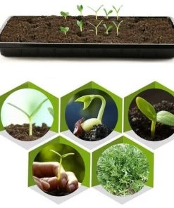 MALLOMNE Plateaux De Culture De Plantes �� D��marrage Solide (sans Trous) - Durables, R��utilisables -Accessoire de culture Soldes Boutique 51322189 3