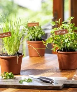 Étiquettes De Jardinage Metal Copper Copper Plant Label Garden Gardening Potted Waterproof Plant Label Macaron 11 Étiquettes De Jardinage Metal Copper Copper Plant Label Garden Gardening Potted Waterproof Plant Label Macaron -Accessoire de culture Soldes Boutique 51374179 5