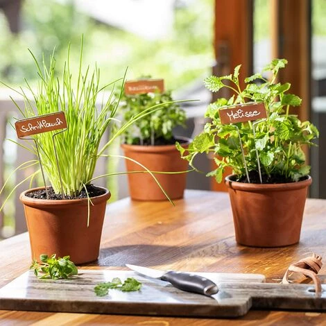 Étiquettes De Jardinage Metal Copper Copper Plant Label Garden Gardening Potted Waterproof Plant Label Macaron 7 Étiquettes De Jardinage Metal Copper Copper Plant Label Garden Gardening Potted Waterproof Plant Label Macaron – Image 5