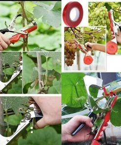 Pince A Lier Machine à Attacher Les Outils De Ruban De Jardinage Plantes Ruban De Branche En Pour Plantes Légumes Fruits Fleurs Macaron 11 Pince A Lier Machine à Attacher Les Outils De Ruban De Jardinage Plantes Ruban De Branche En Pour Plantes Légumes Fruits Fleurs Macaron -Accessoire de culture Soldes Boutique 51437861 5