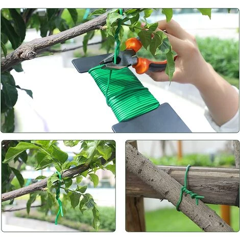 Fil Jardinage Cordon Jardin Pour Plantes Et Arbustes Attaches De Jardin Pour Plantes Fil De Liaison Souple Pour Plantes Fil Flexible De Branche Fil De Liaison Fixe Macaron 7 Fil Jardinage Cordon Jardin Pour Plantes Et Arbustes Attaches De Jardin Pour Plantes Fil De Liaison Souple Pour Plantes Fil Flexible De Branche Fil De Liaison Fixe Macaron – Image 5