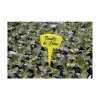 HELIOTRADE Etiquette Pour Plantes Et Potager Ré-inscriptible - Lot De 10 Pieces