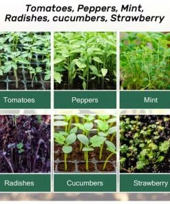 MALLOMNE Lot De 5 Plateaux De D��marrage Pour Semences Plateau De Semis (12 Cellules Par Plateau) Humidit�� R��glable -Accessoire de culture Soldes Boutique 51541714 5