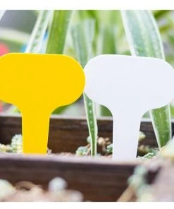 MALLOMNE ��tiquettes Pour Plantes De Type T ��tiquettes Pour Plantes En Plastique ��tiquettes Pour P��pini��res Blanc -Accessoire de culture Soldes Boutique 51542692 2