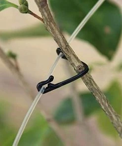 TINOR 100pcs Vignes Attache Attachée Boucle Crochet Plante Greffe De Légumes Clips De La Serre Agricole Fournitures -Accessoire de culture Soldes Boutique 52065021 3