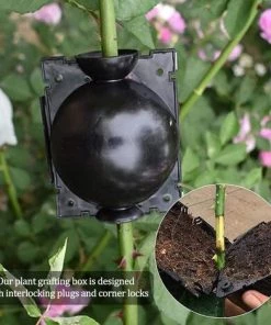 TINOR 6 Pièces Boîte D'Enracinement De Plante, Boîte De Culture D'enracinement Des Plantes, Dispositif De Greffe De Balle De Propagation à Haute Pression Pour La Greffe De Jardin (S、M、L) -Accessoire de culture Soldes Boutique 52065048 4