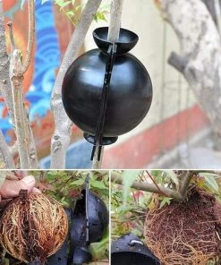 TINOR 6 Pièces Boîte D'Enracinement De Plante, Boîte De Culture D'enracinement Des Plantes, Dispositif De Greffe De Balle De Propagation à Haute Pression Pour La Greffe De Jardin (S、M、L) -Accessoire de culture Soldes Boutique 52065048 5