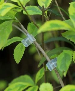 KARTOKNER 100 Pcs Pince De Greffe Clip Spécial De Greffe Tomate Seedling Greffage Clip Aubergine Grafting Clamp -Accessoire de culture Soldes Boutique 52164667 4
