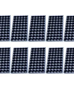 TINOR 10 Pack Plateau De Semis, 50 Trous Cellules à Semis Plateau De Démarrage Plantation Conteneur