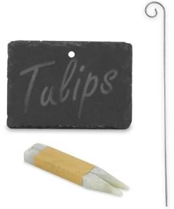 READCLY Ensemble De 10 étiquettes De Plantes En Ardoise Et Ardoise | Marqueurs De Plantes De Jardin | Étiquettes D'herbes | Accessoires De Serre | M&W -Accessoire de culture Soldes Boutique 52506832 4