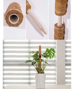 TINOR 2 Pièces Tuteur Plante,Tuteur Coco, Poteau De Coco, Bâton De Coco Pour La Maison Jardin Plante Grimpantes Extension De Support De Plante -Accessoire de culture Soldes Boutique 52546890 3