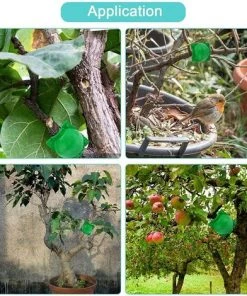 TINOR 14 Pièces Boîte D'Enracinement De Plante Balle De Propagation, Boîte De Greffage Boîte Boule De Propagation Haute Pression Dispositif D'enracinement Des Plantes (L+M+S, Vert) 10 TINOR 14 Pièces Boîte D'Enracinement De Plante Balle De Propagation, Boîte De Greffage Boîte Boule De Propagation Haute Pression Dispositif D'enracinement Des Plantes (L+M+S, Vert) -Accessoire de culture Soldes Boutique 52546894 4