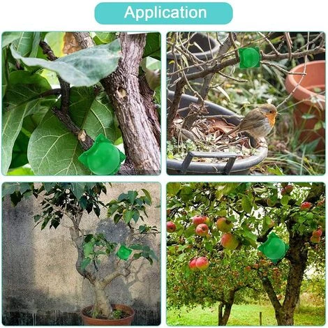 TINOR 14 Pièces Boîte D'Enracinement De Plante Balle De Propagation, Boîte De Greffage Boîte Boule De Propagation Haute Pression Dispositif D'enracinement Des Plantes (L+M+S, Vert) 6 TINOR 14 Pièces Boîte D'Enracinement De Plante Balle De Propagation, Boîte De Greffage Boîte Boule De Propagation Haute Pression Dispositif D'enracinement Des Plantes (L+M+S, Vert) – Image 4