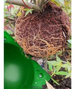 TINOR 14 Pièces Boîte D'Enracinement De Plante Balle De Propagation, Boîte De Greffage Boîte Boule De Propagation Haute Pression Dispositif D'enracinement Des Plantes (L+M+S, Vert) 11 TINOR 14 Pièces Boîte D'Enracinement De Plante Balle De Propagation, Boîte De Greffage Boîte Boule De Propagation Haute Pression Dispositif D'enracinement Des Plantes (L+M+S, Vert) -Accessoire de culture Soldes Boutique 52546894 5