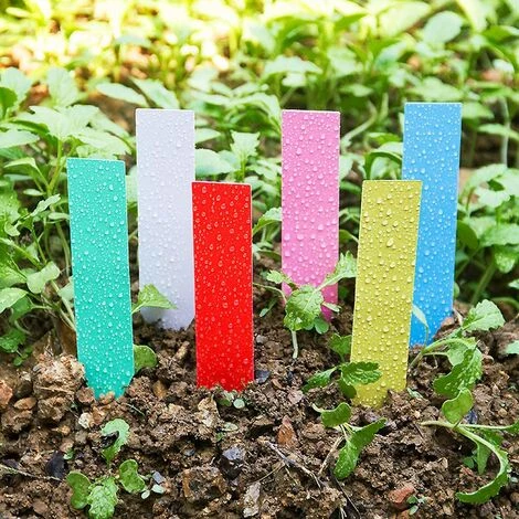 TINOR Étiquettes Pour Plante, 120 PCS 10 X 2 Cm Étiquettes De Jardinage, Marqueur De Jardin Plastique, Étiquettes De Jardin Imperméables, Marqueur Pépinière Imperméables En 6 Couleurs 6 TINOR Étiquettes Pour Plante, 120 PCS 10 X 2 Cm Étiquettes De Jardinage, Marqueur De Jardin Plastique, Étiquettes De Jardin Imperméables, Marqueur Pépinière Imperméables En 6 Couleurs – Image 4
