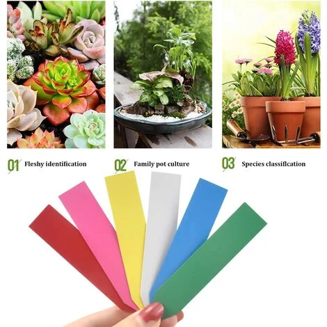 TINOR Étiquettes Pour Plante, 120 PCS 10 X 2 Cm Étiquettes De Jardinage, Marqueur De Jardin Plastique, Étiquettes De Jardin Imperméables, Marqueur Pépinière Imperméables En 6 Couleurs 7 TINOR Étiquettes Pour Plante, 120 PCS 10 X 2 Cm Étiquettes De Jardinage, Marqueur De Jardin Plastique, Étiquettes De Jardin Imperméables, Marqueur Pépinière Imperméables En 6 Couleurs – Image 5