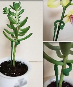 TINOR Lot De 30 Tuteurs Pour Plantes De Jardin, Tiges Simples, Tuteurs Pour Fleurs, Orchidée, Pivoine, Lys, Rose -Accessoire de culture Soldes Boutique 52546940 5