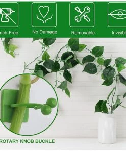 LIFCAUSAL Plantes Vertes Support D'escalade Mural Crochet Auto-adhésif Cirrus Wall Climbing Hook Fixe -Accessoire de culture Soldes Boutique 52728406 3