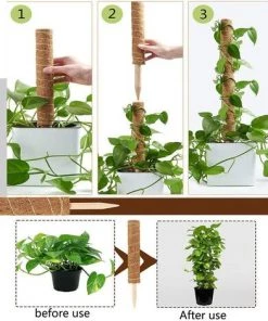 2 Pièces Tuteur Plante,Tuteur Coco, Poteau De Coco, Bâton De Coco Pour La Maison Jardin Plante Grimpantes Extension De Support De Plante,Betterlife -Accessoire de culture Soldes Boutique 52735864 3