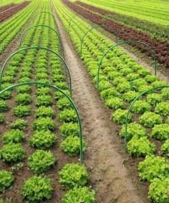 LONGZIMING Lot De 6 Tuteurs De Protection Pour Plantes, Cadre De Support En Tissu, Serre, Tunnel De Croissance Pour Plantes, Piquets De Jardin – 120 Cm De Long En Acier -Accessoire de culture Soldes Boutique 52739676 5