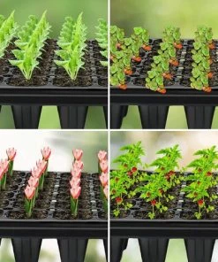 ABCRITAL 6 Pièce 72 Cellules Plateau Semence Plateau De Semis Germination Plastique Bac à Semis Plateau Culture Pour Microgreens Germination Des Plantes Serre Hydroponique, Accessoire De Jardin -Accessoire de culture Soldes Boutique 52740170 3