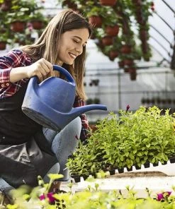 ABCRITAL 6 Pièce 72 Cellules Plateau Semence Plateau De Semis Germination Plastique Bac à Semis Plateau Culture Pour Microgreens Germination Des Plantes Serre Hydroponique, Accessoire De Jardin -Accessoire de culture Soldes Boutique 52740170 5