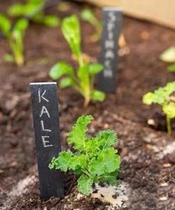 Étiquette Plantes Ardoise Marqueurs Accessoires Serre Tableau Extérieur Jardin Étiquettes Adhésives Durables Plante D'Étiquettes Naturelle Herbes Marqueurs De Plantes Ardoise Réutilisables Avec Craie Triomphe（ 20pièce） -Accessoire de culture Soldes Boutique 53244410 4