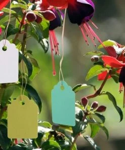 300Pcs Étiquette De Jardin En Plastique, Marqueurs Plantes Imperméables Réutilisables Pépinière Étiquettes Suspendues Avec Ligne Ficelle Pour Le Jardinage Green House Orchard,Blanc*100+Vert*100+Jaune*100 Macaron 11 300Pcs Étiquette De Jardin En Plastique, Marqueurs Plantes Imperméables Réutilisables Pépinière Étiquettes Suspendues Avec Ligne Ficelle Pour Le Jardinage Green House Orchard,Blanc*100+Vert*100+Jaune*100 Macaron -Accessoire de culture Soldes Boutique 53318449 5