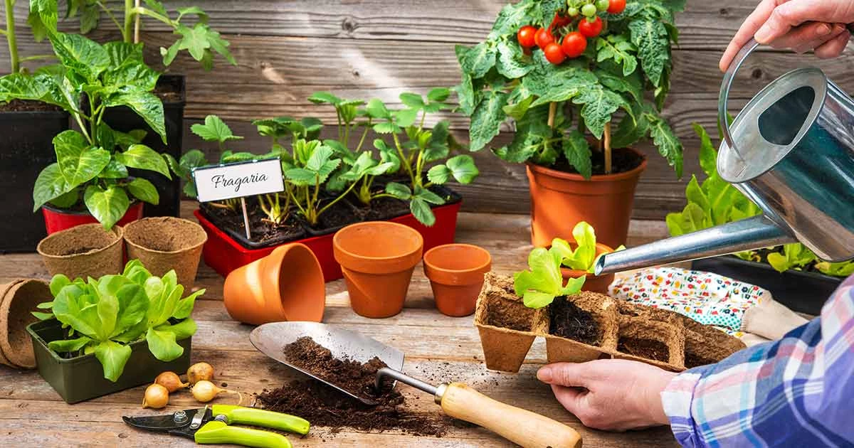 Accessoire de culture Soldes Boutique 34 Accessoire de culture Soldes Boutique -Accessoire de culture Soldes Boutique 534535