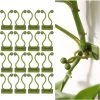 Clip De Support Pour Plantes Grimpantes,Triomphe 100Pcs Clips De Plante Auto-adhésif, Clip De Fixation Murale Vigne Vert, Fixateur Mural, Clip Crochet De Support Plantes, Tuteur Clip, Decoration Mural Plante -Accessoire de culture Soldes Boutique 53832262 1