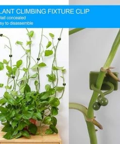 Clip De Support Pour Plantes Grimpantes,Triomphe 100Pcs Clips De Plante Auto-adhésif, Clip De Fixation Murale Vigne Vert, Fixateur Mural, Clip Crochet De Support Plantes, Tuteur Clip, Decoration Mural Plante 9 Clip De Support Pour Plantes Grimpantes,Triomphe 100Pcs Clips De Plante Auto-adhésif, Clip De Fixation Murale Vigne Vert, Fixateur Mural, Clip Crochet De Support Plantes, Tuteur Clip, Decoration Mural Plante -Accessoire de culture Soldes Boutique 53832262 3