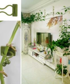 Clip De Support Pour Plantes Grimpantes,Triomphe 100Pcs Clips De Plante Auto-adhésif, Clip De Fixation Murale Vigne Vert, Fixateur Mural, Clip Crochet De Support Plantes, Tuteur Clip, Decoration Mural Plante 11 Clip De Support Pour Plantes Grimpantes,Triomphe 100Pcs Clips De Plante Auto-adhésif, Clip De Fixation Murale Vigne Vert, Fixateur Mural, Clip Crochet De Support Plantes, Tuteur Clip, Decoration Mural Plante -Accessoire de culture Soldes Boutique 53832262 5