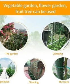 SUPERMARKET 2 Rouleaux 50M Fil Jardinage Vert Avec Coupe Fil De Fer Plastifie Attaches De Fil De Jardin Attache Plante Tomates Cravates En Fil De Plantes Pour Organisation De Jardinage à Domicile,Superma 10 SUPERMARKET 2 Rouleaux 50M Fil Jardinage Vert Avec Coupe Fil De Fer Plastifie Attaches De Fil De Jardin Attache Plante Tomates Cravates En Fil De Plantes Pour Organisation De Jardinage à Domicile,Superma -Accessoire de culture Soldes Boutique 53993252 4