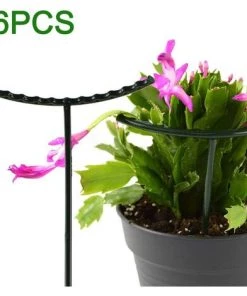 SUPERMARKET Lot De 6 Tuteurs En Métal Pour Plantes De Jardin - Vert - Anneau De Support Demi-rond Pour Plantes En Pot - Pour Petites Plantes En Pot - Schlumbergera, Cliva, Plantes Succulentes, Superma, Vert Foncé