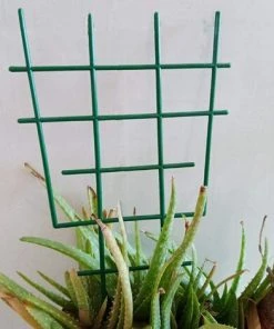 SUPERMARKET Tuteurs De Plantes Treillis Végétal Treillis Pour Plantes Support De Plantes De Jardin Treillis D'escalade Fleur En Plastique Prend En Charge Les Outils De Jardinage,, Superma, 6 Pièces, Vert 9 SUPERMARKET Tuteurs De Plantes Treillis Végétal Treillis Pour Plantes Support De Plantes De Jardin Treillis D'escalade Fleur En Plastique Prend En Charge Les Outils De Jardinage,, Superma, 6 Pièces, Vert -Accessoire de culture Soldes Boutique 53993629 3