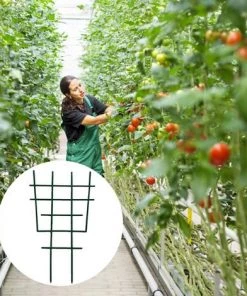 SUPERMARKET Tuteurs De Plantes Treillis Végétal Treillis Pour Plantes Support De Plantes De Jardin Treillis D'escalade Fleur En Plastique Prend En Charge Les Outils De Jardinage,, Superma, 6 Pièces, Vert 11 SUPERMARKET Tuteurs De Plantes Treillis Végétal Treillis Pour Plantes Support De Plantes De Jardin Treillis D'escalade Fleur En Plastique Prend En Charge Les Outils De Jardinage,, Superma, 6 Pièces, Vert -Accessoire de culture Soldes Boutique 53993629 5