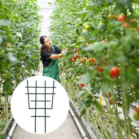 SUPERMARKET Tuteurs De Plantes Treillis Végétal Treillis Pour Plantes Support De Plantes De Jardin Treillis D'escalade Fleur En Plastique Prend En Charge Les Outils De Jardinage,, Superma, 6 Pièces, Vert 7 SUPERMARKET Tuteurs De Plantes Treillis Végétal Treillis Pour Plantes Support De Plantes De Jardin Treillis D'escalade Fleur En Plastique Prend En Charge Les Outils De Jardinage,, Superma, 6 Pièces, Vert – Image 5