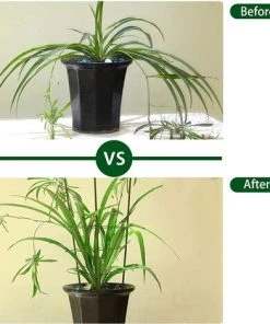 KARTOKNER Lot De 3 Supports Pour Plantes Grimpantes Avec 3 Anneaux De Support Réglables 45 Cm -Accessoire de culture Soldes Boutique 54072558 4