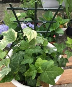 Kartokner Lot De 10 Treillis En Plastique Pour Plantes Grimpantes, Superposés 11 Kartokner Lot De 10 Treillis En Plastique Pour Plantes Grimpantes, Superposés -Accessoire de culture Soldes Boutique 54073976 5