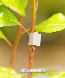 Kartokner 100 Pièces De Clips De Fixation De Greffe De Plantes, Stables, Durables Et Coupe-Vent, Adaptées Aux Semis De 2,2 À 4,5 Mm,4Mm/100Pcs -Accessoire de culture Soldes Boutique 54073992 3